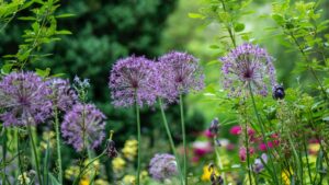 enscape-5 senses-sensory-gardens-wirral-landscaping-service